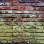 How to Remove Mold From Bricks del prete masonry